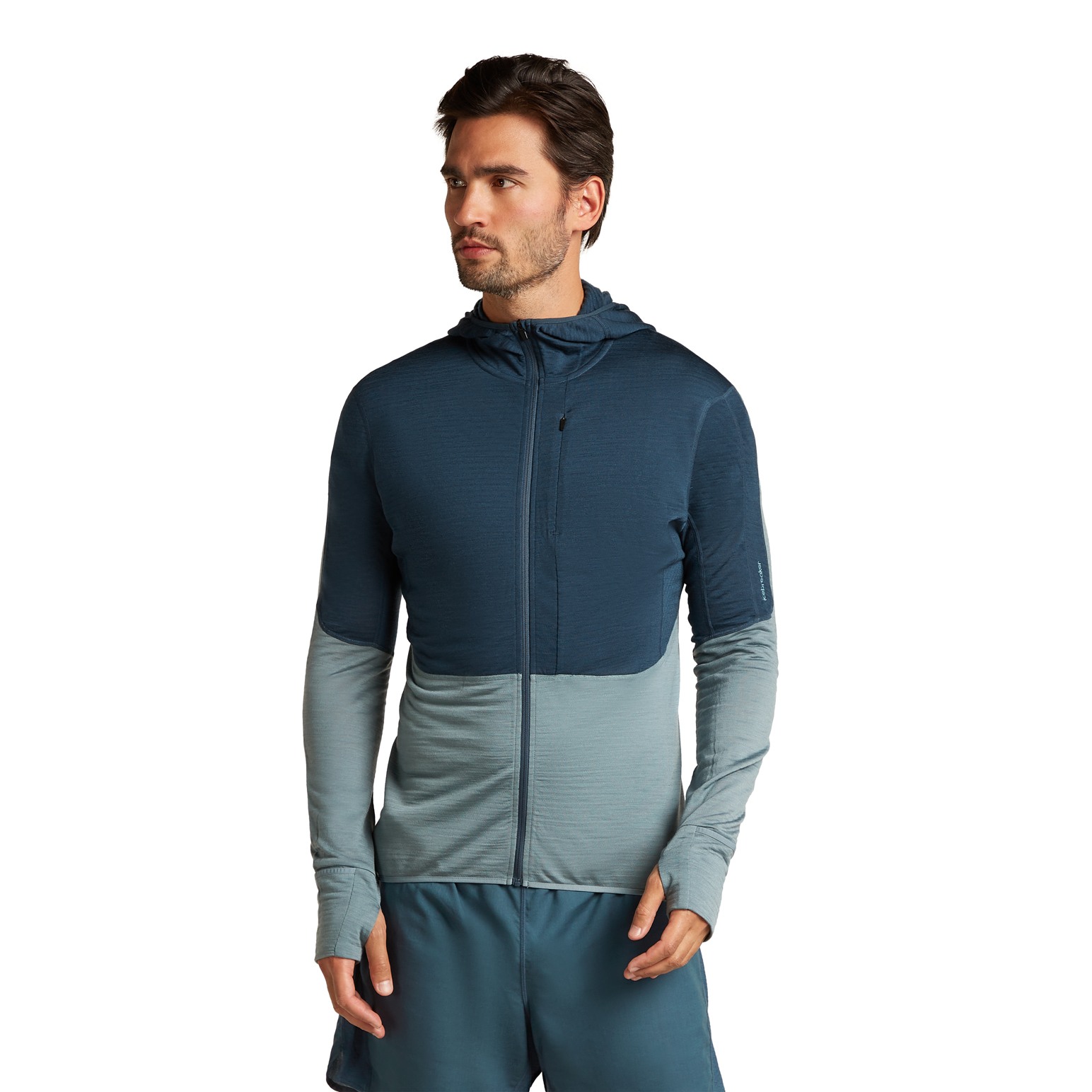 Icebreaker M Merino Blend 200 RealFleece Descender LS Zip Hoodie